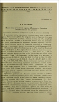 Новый вид мучнистого червеца (Homoptera, Coccoidea, Pseudococcidae) из Армении