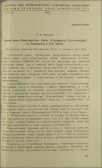 Новые виды Otiorrhynchus Germ. (Coleoptera, Curculionidae) из Закавказья и Сев. Ирана