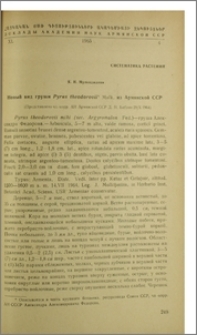 Новый вид груши Pyrus theodorovii Mulk. из Армянской ССР