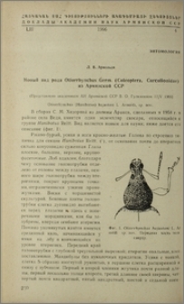 Новый вид рода Otiorrhynchus Germ. (Coleoptera, Curculionidae) из Армянской ССР