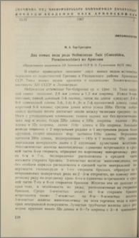 Два новых вида рода Heliococcus Šulc (Coccoidea, Pseudococcidae) из Армении