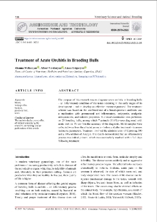 Treatment of Acute Orchitis in Breeding Bulls