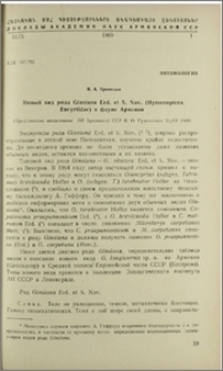 Новый вид рода Ginsiana Erd. et. S. Nov. (Hymenoptera, Encyrtidae) в фауне Армении