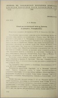 Новый вид пальцекрылой моли из Армении (Lepidoptera, Pterophoridae)