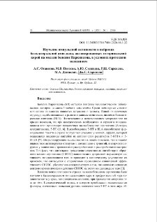 Изучение импульсной активности в нейронах базолатеральной амигдалы, активированных энторинальной корой на модели болезни Паркинсона, в условиях протекции меланином