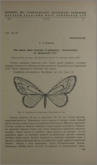 Два новых вида пядениц (Lepidoptersa, Geometridae) из Армянской ССР