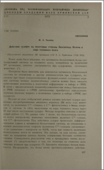 Действие судорог на некоторые стороны биосинтеза белков в коре головного мозга