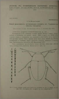 Новый представитель жесткокрылых-Catopidae из Таджикистана (Insecta, Coleoptera)
