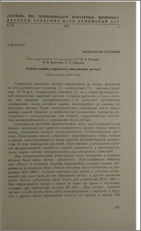 О роли корней в процессах омоложения листьев