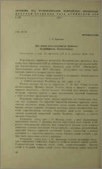 Два новых вида пядениц из Армении (Lepidoptera, Geometridae)