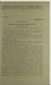 Новые виды жесткокрылых-зерновок из СССР