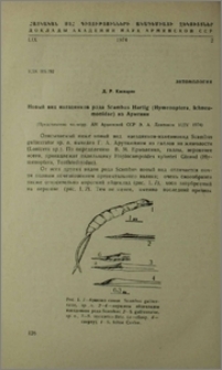 Новый вид наездников рода Scambus Hartig (Hymenoptera, Ichneumonidae) из Армении