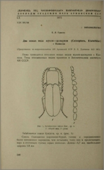 Два новых вида жуков-щелкунов (Coleoptera, Elateridae) с Кавказа
