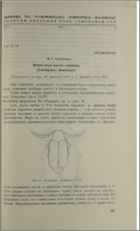 Новые виды жуков-зерновок (Coleoptera, Bruchidae)