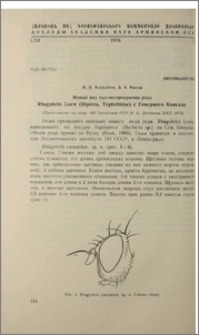 Новый вид мух-пестрокрылок рода Rhagoletis Loew (Diptera, Tephritidae) c Северного Кавказа