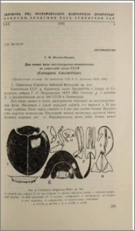 Два новых вида жесткакрылых-кокцинеллид из азиатской части СССР (Coleoptera, Coccinellidae)