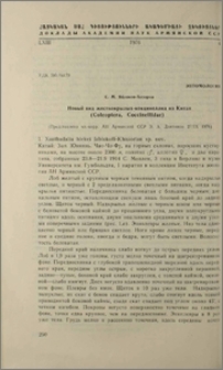 Новый вид жесткокрылых-кокцинеллид из Китая (Coleoptera, Coccinellidae)