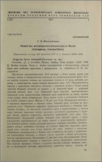 Новый вид жесткокрылых-кокцинеллид из Индии (Coleoptera, Coccinellidae)