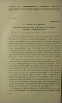 Электронномикроскопическое исследование аксо-аксонных синапсов в красном ядре кошки