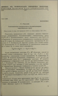 Гомотопическая инвариантность бесконечномерных гомотопических групп