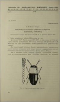 Новый вид жесткокрылых-грибовиков из Армении (Coleoptera, Erotylidae)