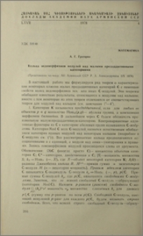 Кольца эндоморфизмов модульей над малыми предаддитивными категориями
