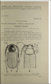 Новый вид жесткокрылых-малашек из Армянской ССР (Coleoptera, Dasytidae)
