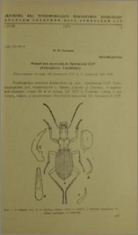 Новый вид жужелиц из Армянской ССР (Coleotera, Carabidae)