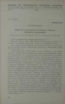 Новый вид жесткокрылых-долгоносиков с Кавказа (Coleoptera, Curculionidae)