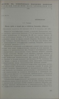 Новая триба и новый рода в семействе Tabanidae (Diptera)