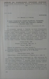 К фауне четырехногих клещей (Acariforms, Tetrapodili), встречающихся на соснах (сем. Pinaceae) в Армении, с описанием нового вида