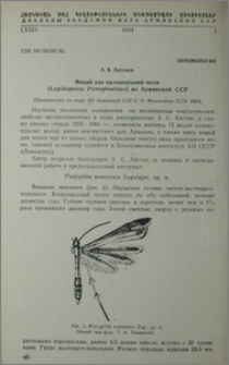 Новый вид пальцекрылой моли (Lopidoptera: Pterophoridae) из Армянской ССР