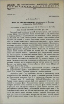 Новый род и вид жесткокрылых-кокцинеллид из Суматры (Coleoptera, Coccinellidae)
