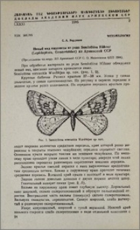 Новый вид пяденицы из рода Semiothisa Hubner (Lepidoptera, Geometridae) из Армянской ССР