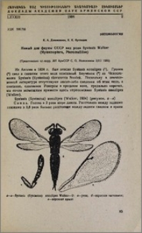 Новый для фауны СССР вид рода Systasis Walker(Hymenoptera, Pteromalidae)