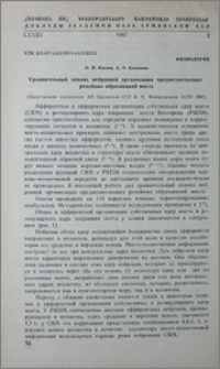 Сравнительный анализ нейронной организации предмозжечковых релейных образований моста