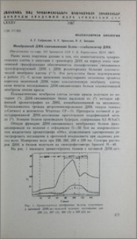 Мембранный ДНК-связывающий белок-стабилизатор ДНК