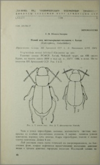 Новый вид жесткокрылых-малашек с Алтая (Coloptera, Malachidae)
