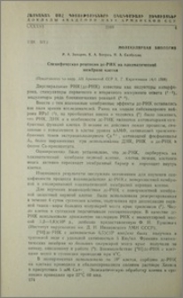 Спецефическая рецепция де РНК на плазматической мембране клетки