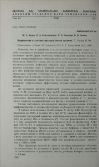 Морфология и ультраструктура клеток штамма S. Derby K 89