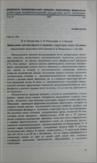 Выявление ортофосфатов в нервных структурах мозга человека