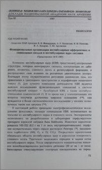 Функциональная организация вестибулярных афферентных и спинальных входов в вестибулярные ядра лягушки
