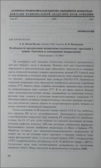 Особенности организации мозжечково-таламических проекций у кошки. Световая и электронная микроскопия
