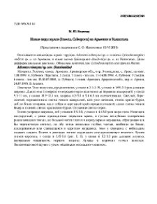 Новые виды жуков (Insecta, Coleoptera) из Армении и Казахстана