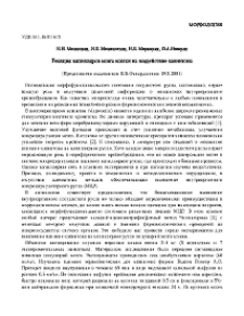 Реакция капилляров мозга кошки на воздействие кавинтона