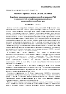Воздействие сверхмалых доз модифицированной двуспиральной РНК на жирнокислотный состав фосфолипидов мозговой ткани аллоксандиабетических белых крыс