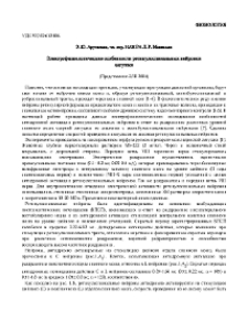 Электрофизиологические особенности ретикулоспинальных нейронов лягушки