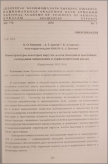 Наноструктуры некоторых вирусов, клеток бактерий и простейших электронная микроскопия и морфометрический анализ