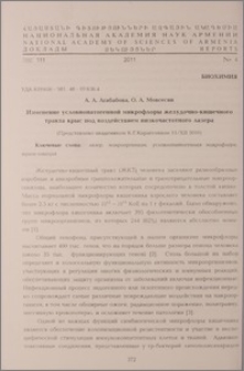 Изменение условнопатогенной микрофлоры желудочно-кишечного тракта крыс под воздействием низкочастотного лазера