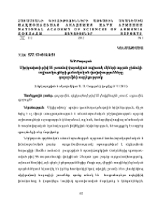 Սիբիրախտի թիվ 55 շտամով վարակված սպիտակ մկների արյան շիճուկի սպիտակուցների քանակական փոփոխությունները գալարմինի ազդեցությամբ